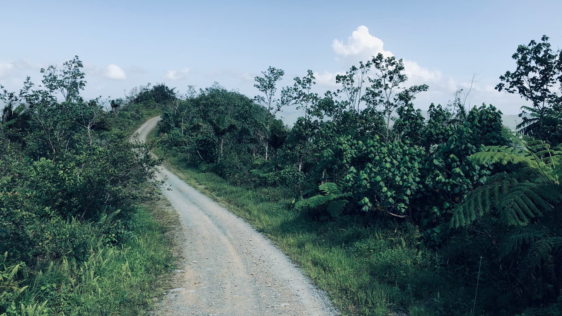 A road in a mountain in Cuba